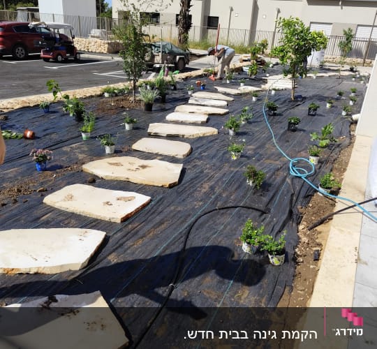 שתילת צמחים על יריעת פלסטיק עם אבני דרך